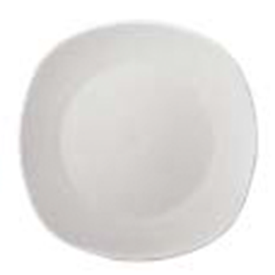 PLATO TRINCHE LINEA ANTARTIC 